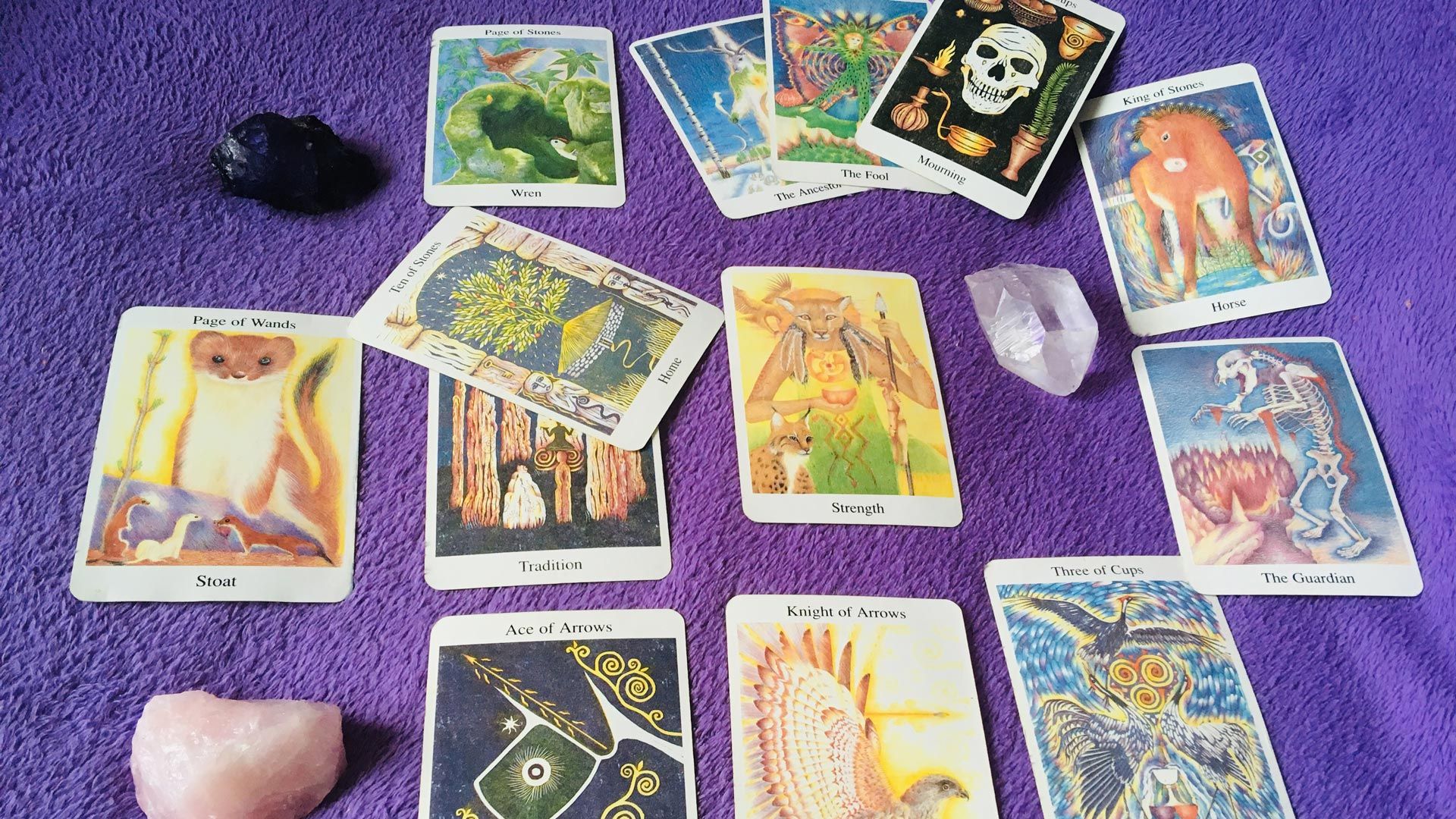 Tarot card reading being carried out